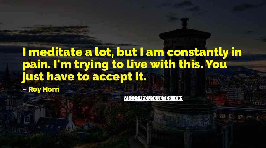 Roy Horn Quotes: I meditate a lot, but I am constantly in pain. I'm trying to live with this. You just have to accept it.