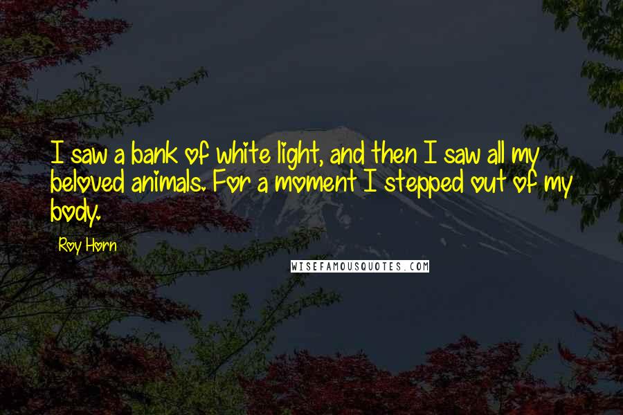 Roy Horn Quotes: I saw a bank of white light, and then I saw all my beloved animals. For a moment I stepped out of my body.