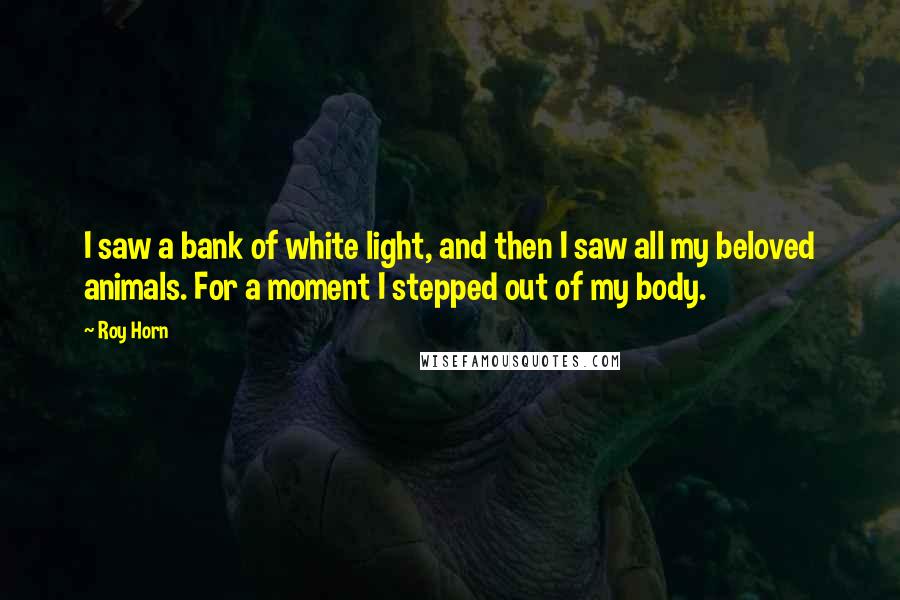 Roy Horn Quotes: I saw a bank of white light, and then I saw all my beloved animals. For a moment I stepped out of my body.