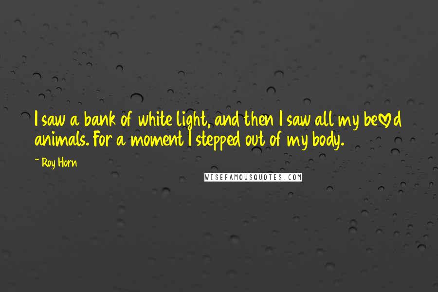 Roy Horn Quotes: I saw a bank of white light, and then I saw all my beloved animals. For a moment I stepped out of my body.