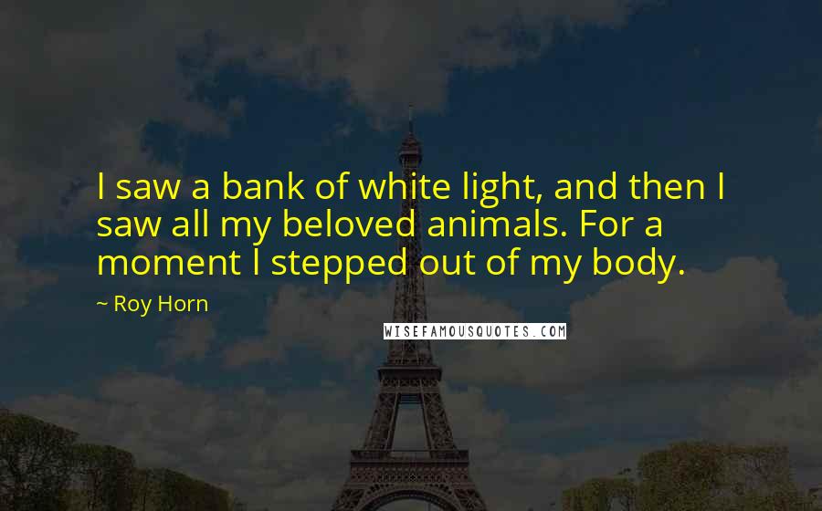 Roy Horn Quotes: I saw a bank of white light, and then I saw all my beloved animals. For a moment I stepped out of my body.
