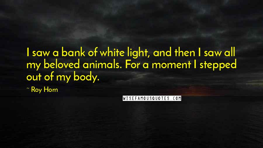 Roy Horn Quotes: I saw a bank of white light, and then I saw all my beloved animals. For a moment I stepped out of my body.