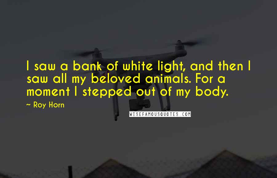 Roy Horn Quotes: I saw a bank of white light, and then I saw all my beloved animals. For a moment I stepped out of my body.