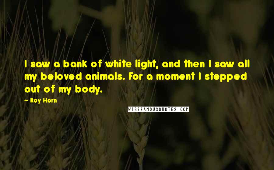 Roy Horn Quotes: I saw a bank of white light, and then I saw all my beloved animals. For a moment I stepped out of my body.