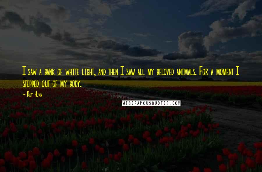 Roy Horn Quotes: I saw a bank of white light, and then I saw all my beloved animals. For a moment I stepped out of my body.