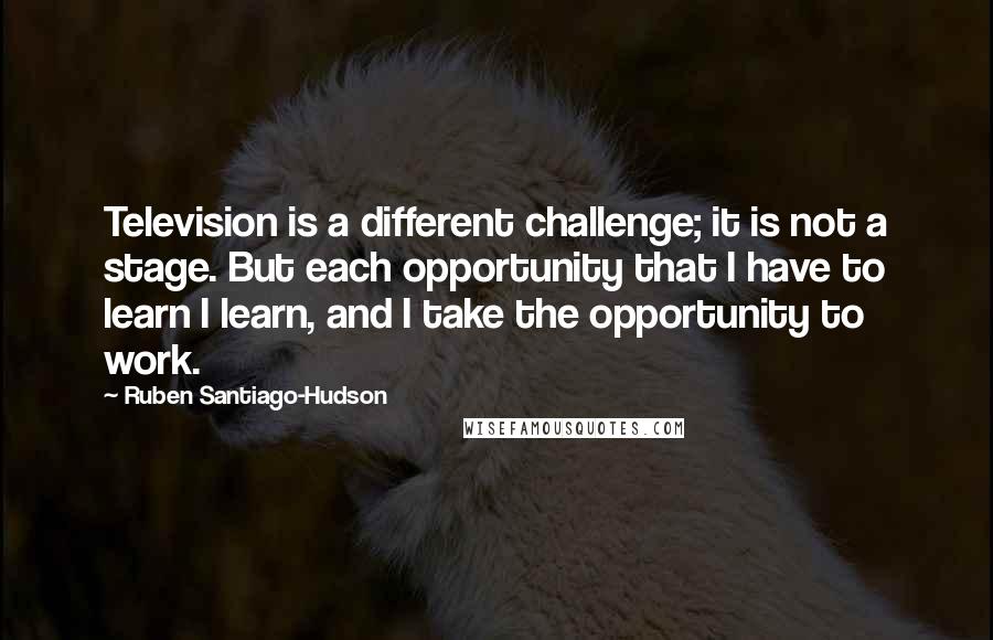 Ruben Santiago-Hudson Quotes: Television is a different challenge; it is not a stage. But each opportunity that I have to learn I learn, and I take the opportunity to work.