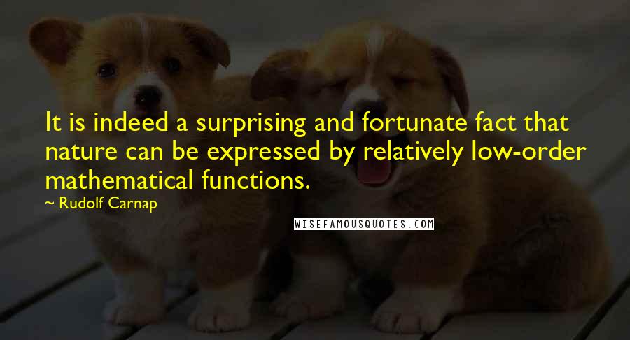 Rudolf Carnap Quotes: It is indeed a surprising and fortunate fact that nature can be expressed by relatively low-order mathematical functions.