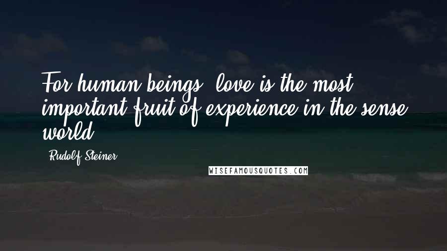 Rudolf Steiner Quotes: For human beings, love is the most important fruit of experience in the sense world.