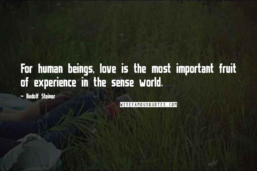 Rudolf Steiner Quotes: For human beings, love is the most important fruit of experience in the sense world.