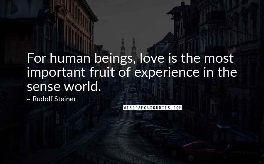Rudolf Steiner Quotes: For human beings, love is the most important fruit of experience in the sense world.