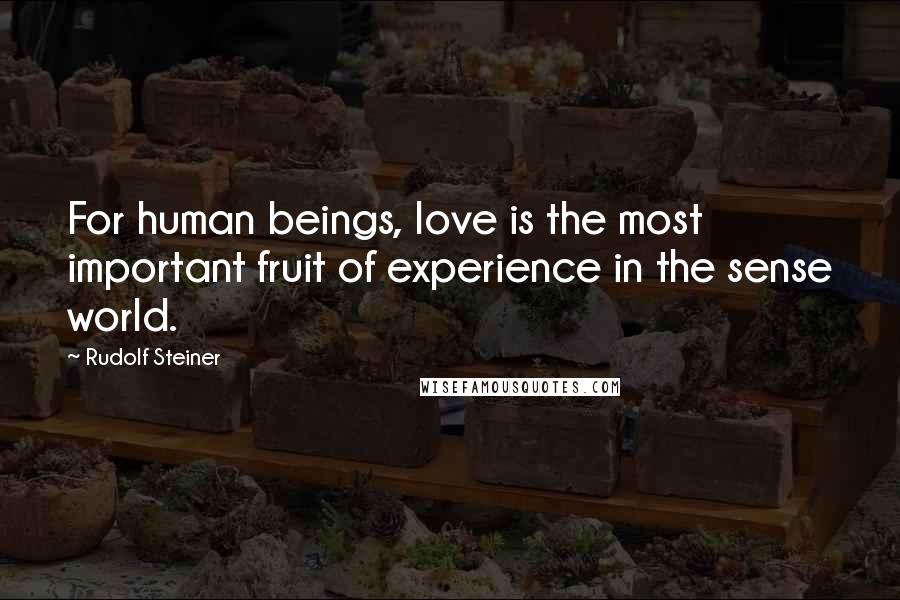 Rudolf Steiner Quotes: For human beings, love is the most important fruit of experience in the sense world.