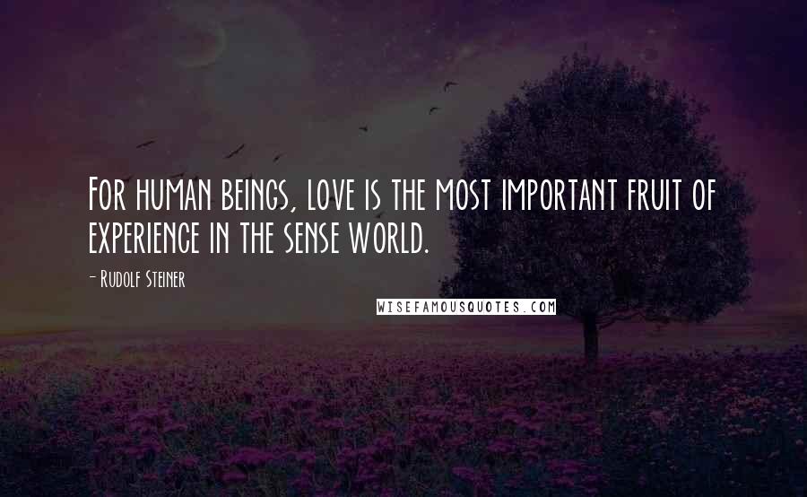 Rudolf Steiner Quotes: For human beings, love is the most important fruit of experience in the sense world.