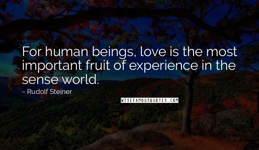 Rudolf Steiner Quotes: For human beings, love is the most important fruit of experience in the sense world.