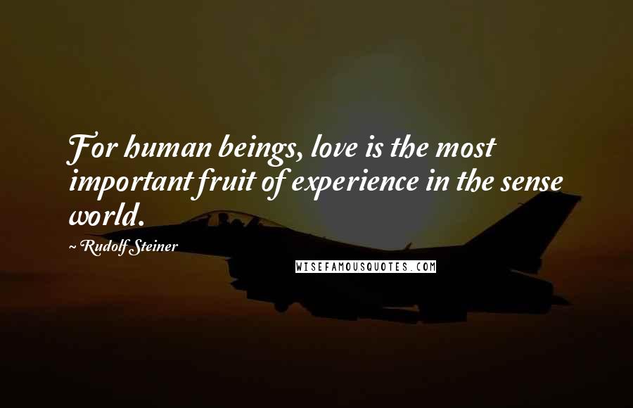 Rudolf Steiner Quotes: For human beings, love is the most important fruit of experience in the sense world.