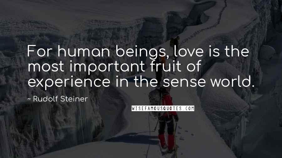 Rudolf Steiner Quotes: For human beings, love is the most important fruit of experience in the sense world.