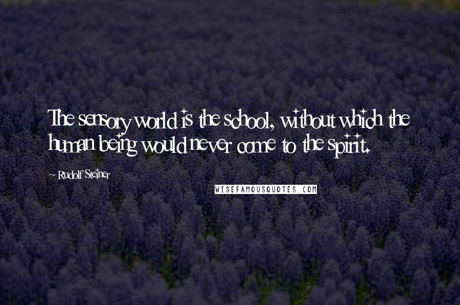 Rudolf Steiner Quotes: The sensory world is the school, without which the human being would never come to the spirit.