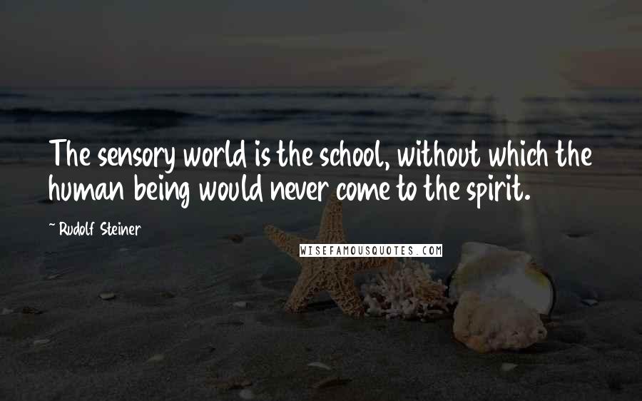Rudolf Steiner Quotes: The sensory world is the school, without which the human being would never come to the spirit.
