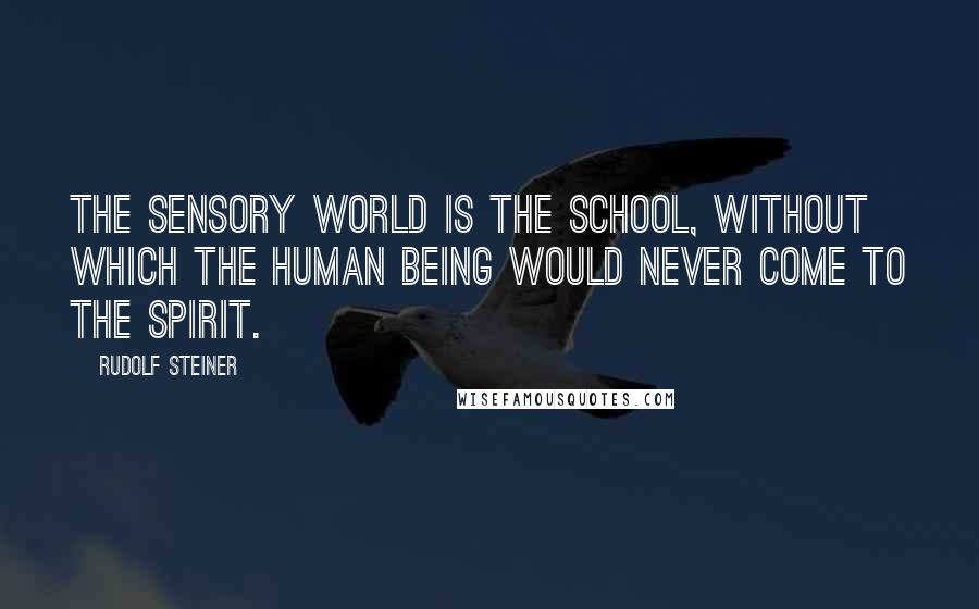 Rudolf Steiner Quotes: The sensory world is the school, without which the human being would never come to the spirit.