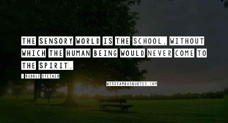 Rudolf Steiner Quotes: The sensory world is the school, without which the human being would never come to the spirit.