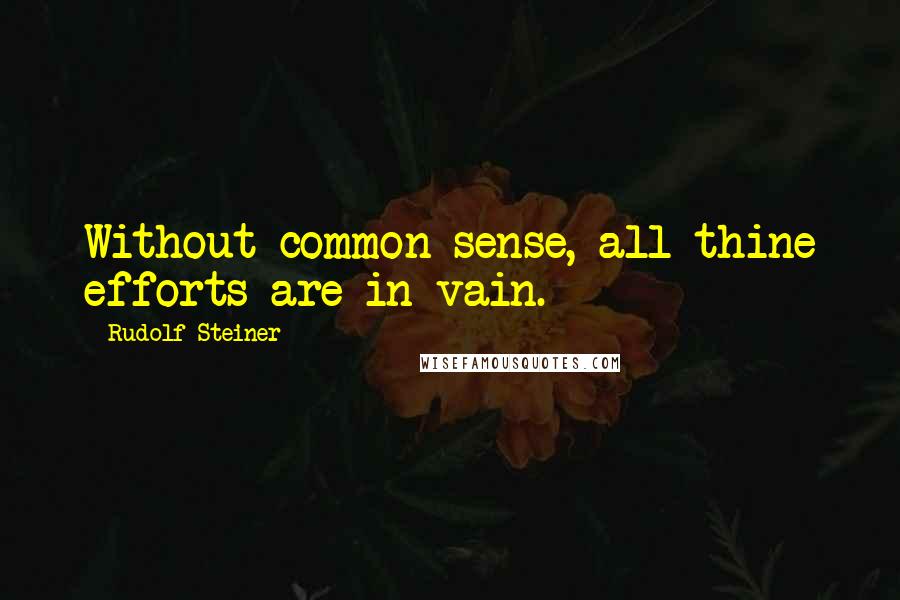 Rudolf Steiner Quotes: Without common sense, all thine efforts are in vain.