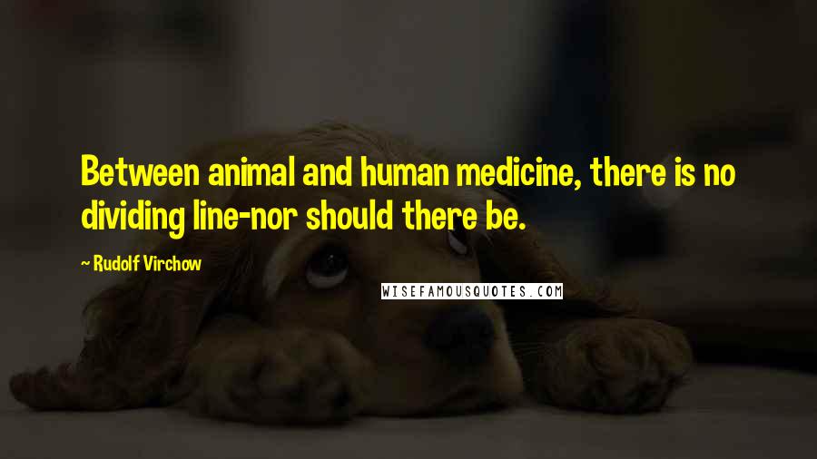 Rudolf Virchow Quotes: Between animal and human medicine, there is no dividing line-nor should there be.