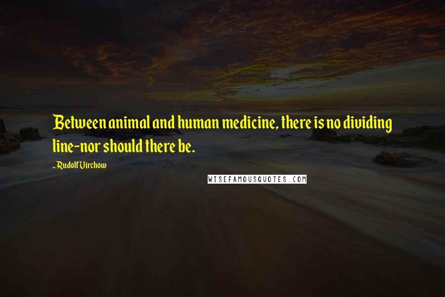 Rudolf Virchow Quotes: Between animal and human medicine, there is no dividing line-nor should there be.