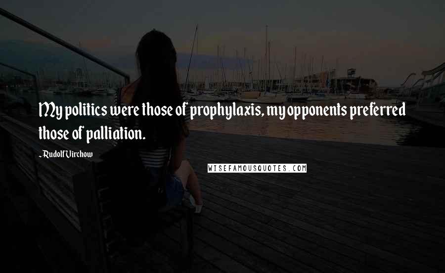 Rudolf Virchow Quotes: My politics were those of prophylaxis, my opponents preferred those of palliation.