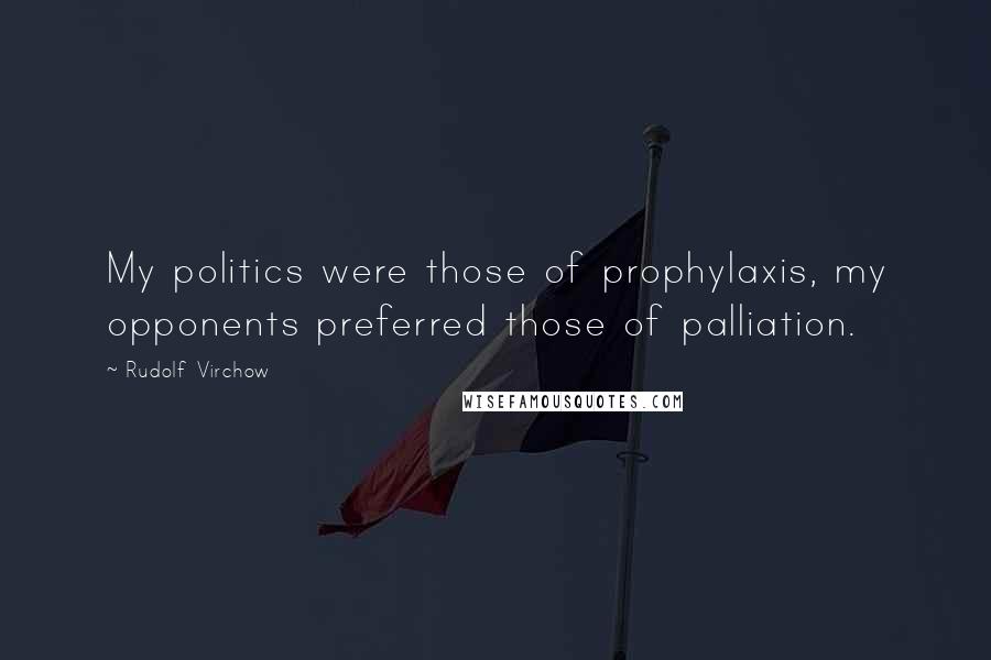 Rudolf Virchow Quotes: My politics were those of prophylaxis, my opponents preferred those of palliation.