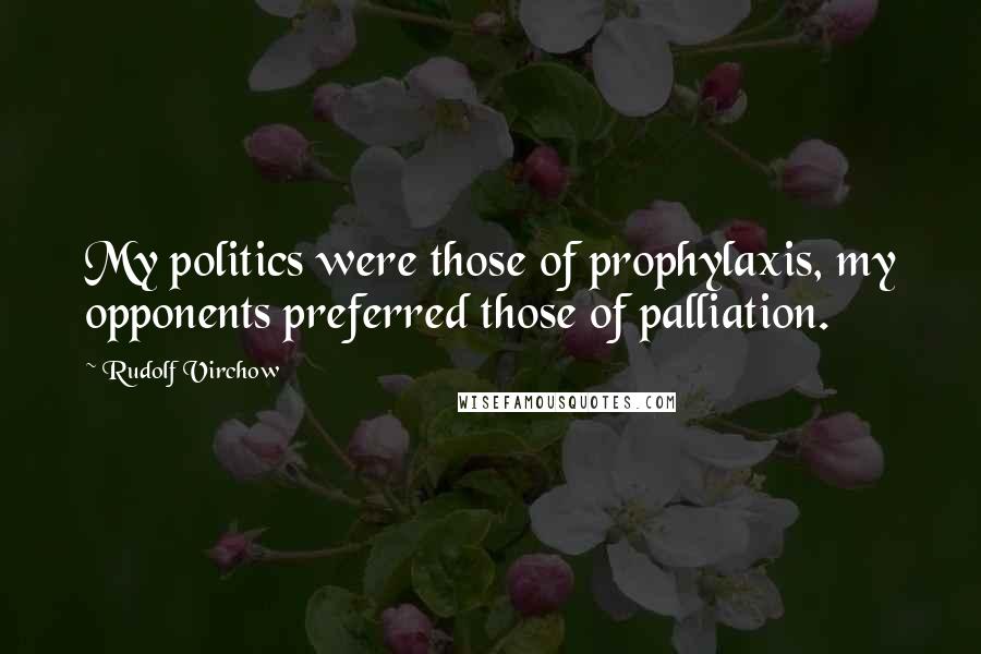 Rudolf Virchow Quotes: My politics were those of prophylaxis, my opponents preferred those of palliation.