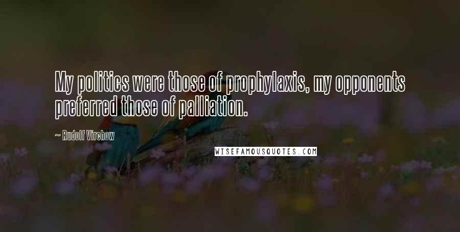 Rudolf Virchow Quotes: My politics were those of prophylaxis, my opponents preferred those of palliation.