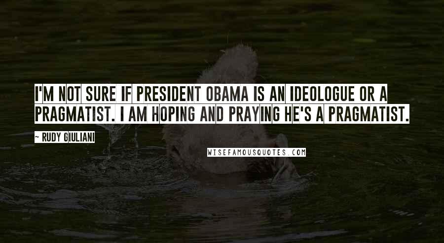 Rudy Giuliani Quotes: I'm not sure if President Obama is an ideologue or a pragmatist. I am hoping and praying he's a pragmatist.