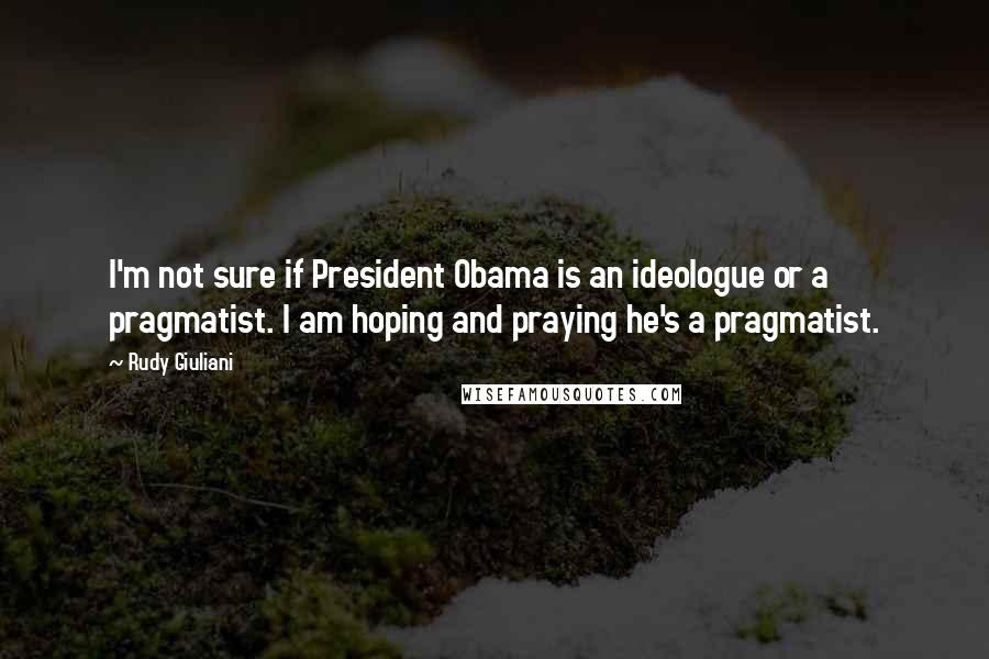 Rudy Giuliani Quotes: I'm not sure if President Obama is an ideologue or a pragmatist. I am hoping and praying he's a pragmatist.