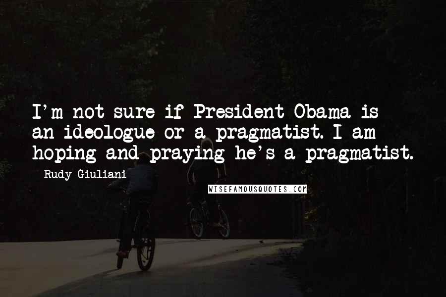 Rudy Giuliani Quotes: I'm not sure if President Obama is an ideologue or a pragmatist. I am hoping and praying he's a pragmatist.