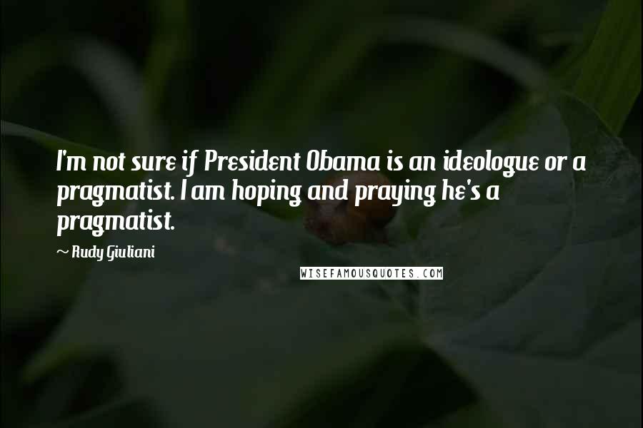 Rudy Giuliani Quotes: I'm not sure if President Obama is an ideologue or a pragmatist. I am hoping and praying he's a pragmatist.