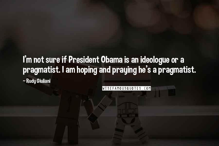 Rudy Giuliani Quotes: I'm not sure if President Obama is an ideologue or a pragmatist. I am hoping and praying he's a pragmatist.