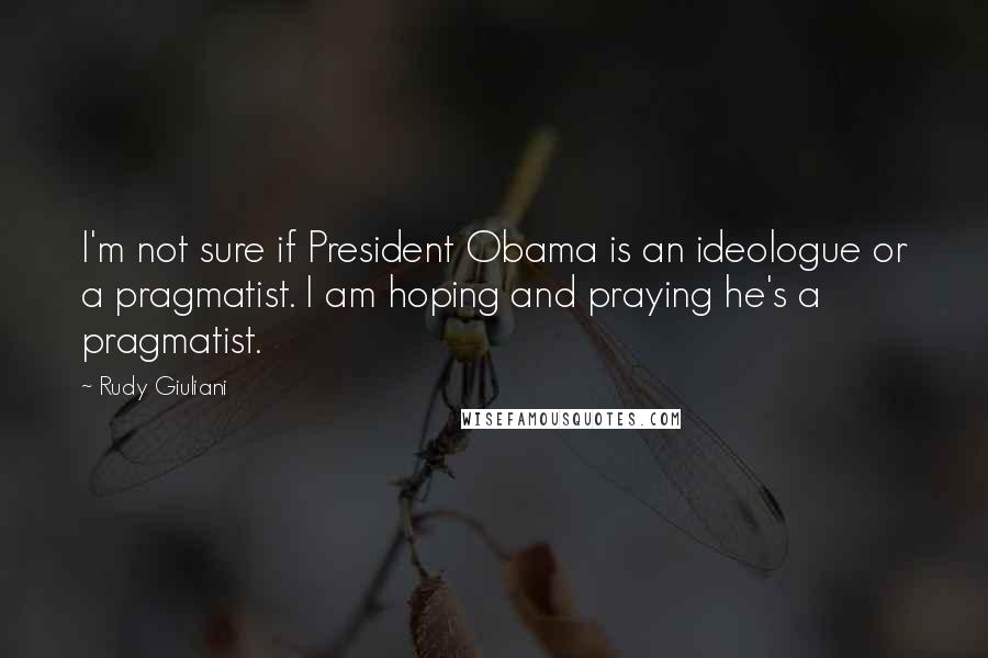 Rudy Giuliani Quotes: I'm not sure if President Obama is an ideologue or a pragmatist. I am hoping and praying he's a pragmatist.