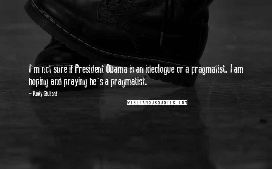 Rudy Giuliani Quotes: I'm not sure if President Obama is an ideologue or a pragmatist. I am hoping and praying he's a pragmatist.