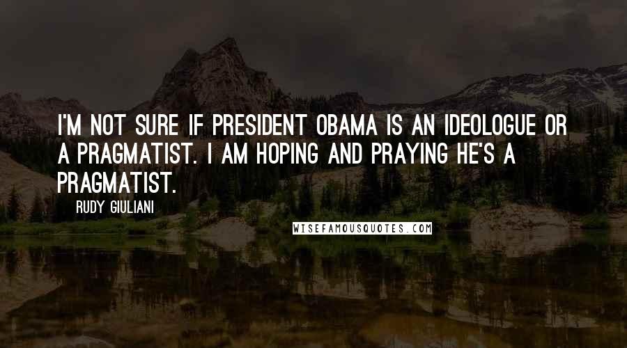 Rudy Giuliani Quotes: I'm not sure if President Obama is an ideologue or a pragmatist. I am hoping and praying he's a pragmatist.