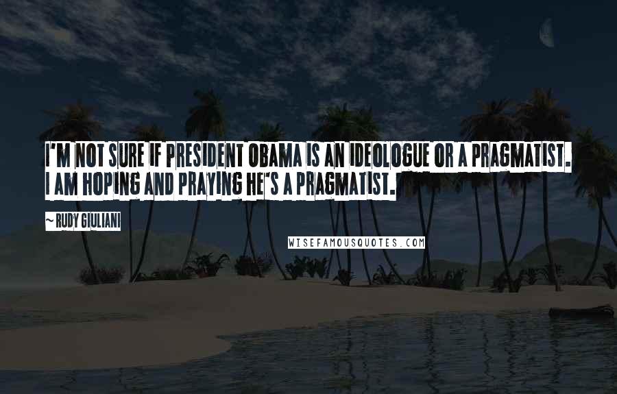 Rudy Giuliani Quotes: I'm not sure if President Obama is an ideologue or a pragmatist. I am hoping and praying he's a pragmatist.