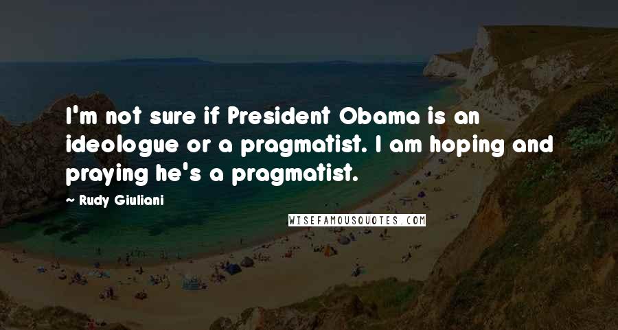 Rudy Giuliani Quotes: I'm not sure if President Obama is an ideologue or a pragmatist. I am hoping and praying he's a pragmatist.