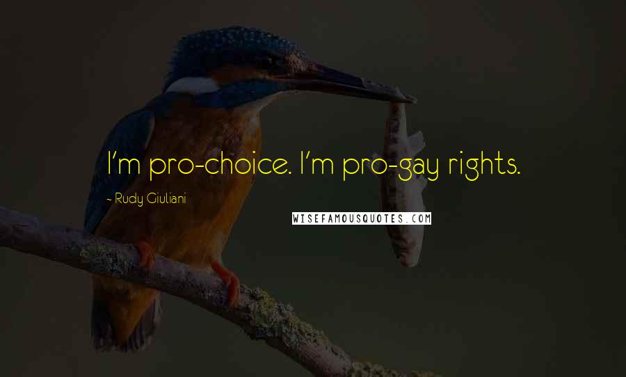 Rudy Giuliani Quotes: I'm pro-choice. I'm pro-gay rights.