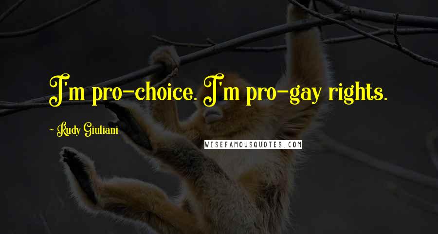 Rudy Giuliani Quotes: I'm pro-choice. I'm pro-gay rights.