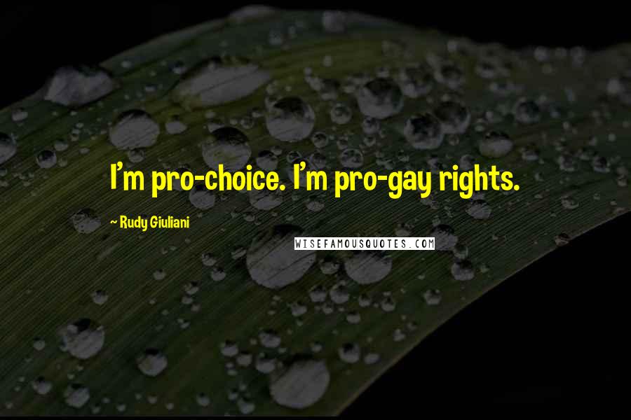 Rudy Giuliani Quotes: I'm pro-choice. I'm pro-gay rights.