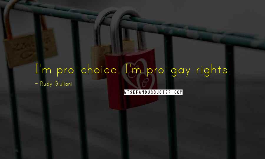 Rudy Giuliani Quotes: I'm pro-choice. I'm pro-gay rights.