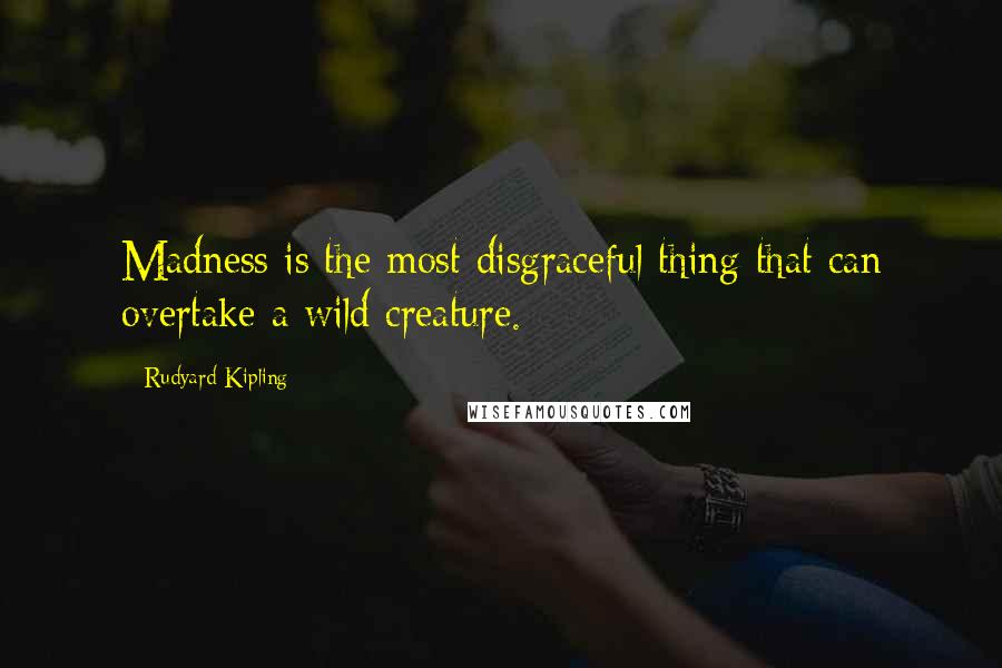 Rudyard Kipling Quotes: Madness is the most disgraceful thing that can overtake a wild creature.