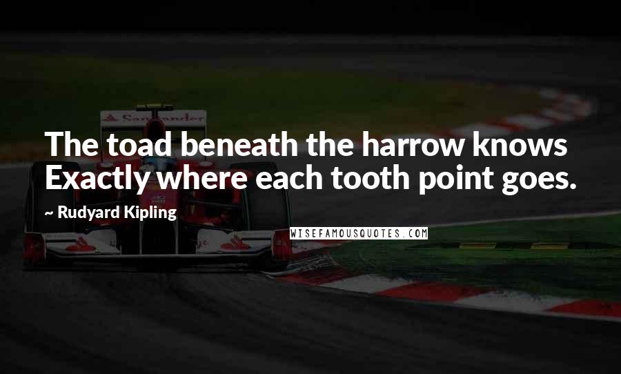 Rudyard Kipling Quotes: The toad beneath the harrow knows Exactly where each tooth point goes.