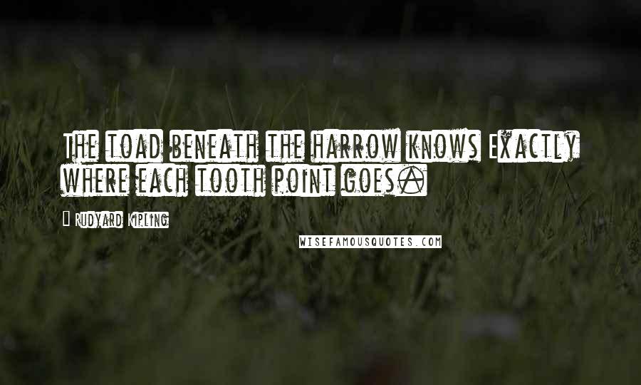 Rudyard Kipling Quotes: The toad beneath the harrow knows Exactly where each tooth point goes.