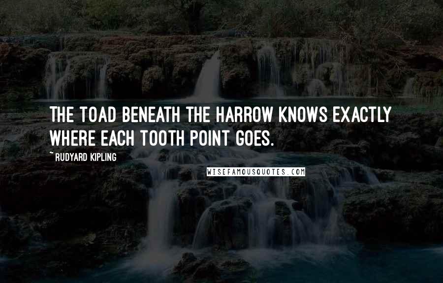 Rudyard Kipling Quotes: The toad beneath the harrow knows Exactly where each tooth point goes.