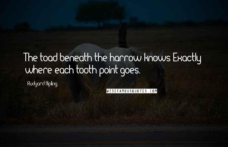 Rudyard Kipling Quotes: The toad beneath the harrow knows Exactly where each tooth point goes.