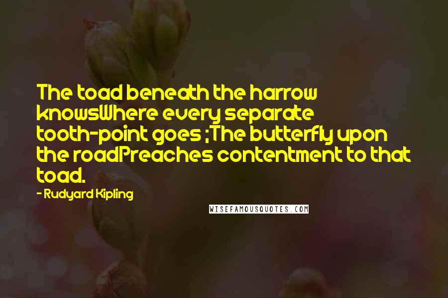 Rudyard Kipling Quotes: The toad beneath the harrow knowsWhere every separate tooth-point goes ;The butterfly upon the roadPreaches contentment to that toad.
